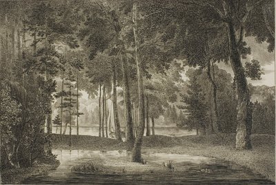 Widok z altany Elizejskiej autorstwa William Birch
