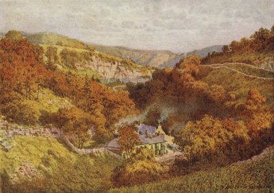 Patrząc w dół Miller