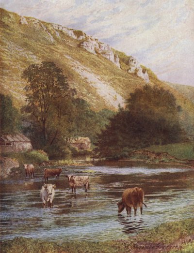 On the Wye, Upper Dale Farm, Monsal Dale (kolor lito) autorstwa William Biscombe Gardner