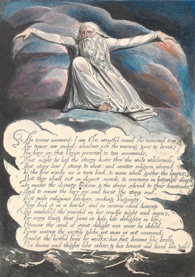 Ameryka. Proroctwo, płyta 10, Terror w odpowiedzi.... autorstwa William Blake