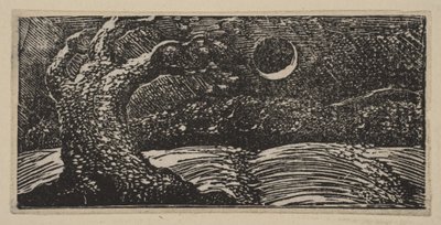 Wysadzane drzewa i spłaszczone uprawy, z Thorntons Pastorals of Virgil, 1821. autorstwa William Blake