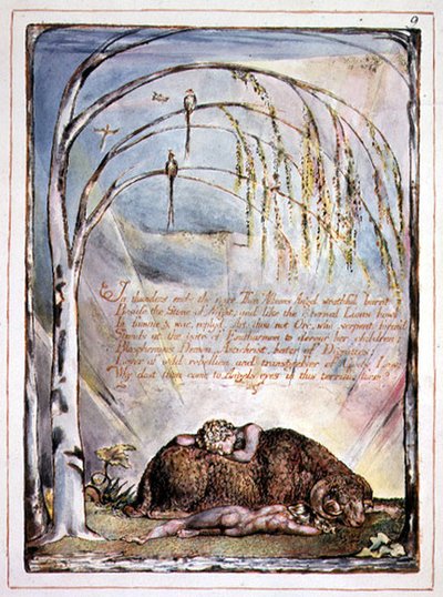"W grzmotach kończy głos", płyta 7 z "Ameryka, proroctwo" autorstwa William Blake