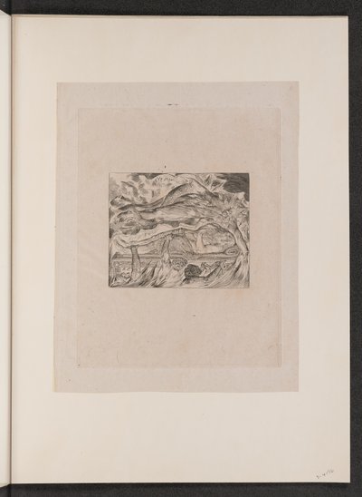 Złe sny Hioba autorstwa William Blake