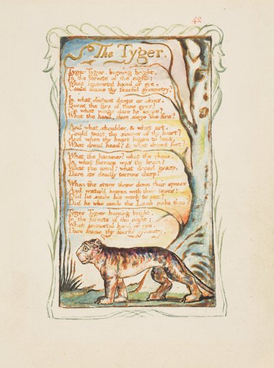 Pieśni niewinności i doświadczenia: Tygrys, ca. 1825. autorstwa William Blake