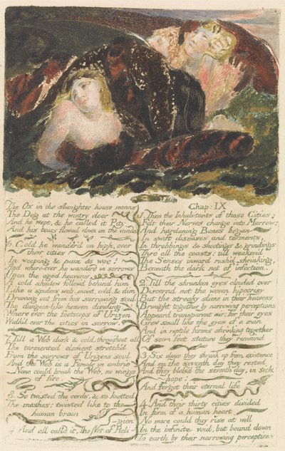 „Wół w rzeźni jęczy...”, płyta 23 z „Pierwszej księgi Urizena” autorstwa William Blake
