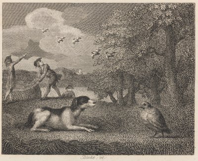 Pies zastawiający i kuropatwa autorstwa William Blake