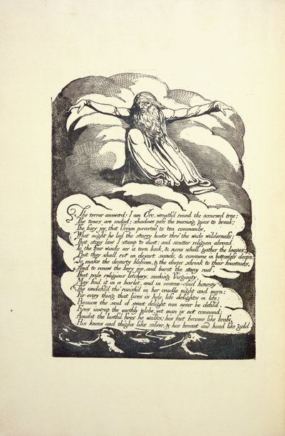Terror odpowiedział, połowa lat 90. XIX wieku autorstwa William Blake