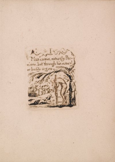 Nie ma naturalnej religii, płyta 3, ja człowiek nie mogę naturalnie. . . . (Bentley A4) autorstwa William Blake