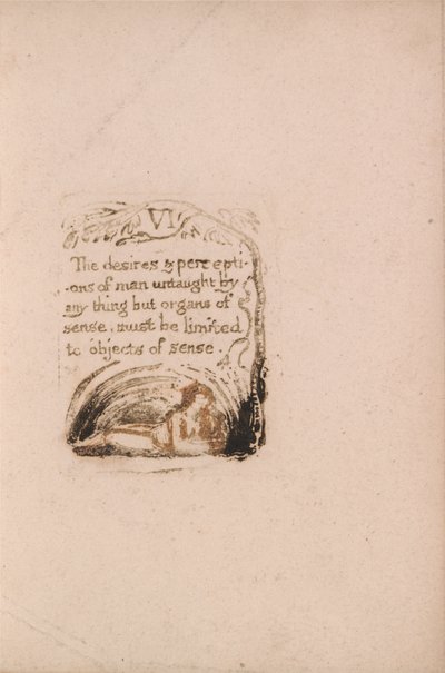 Nie ma religii naturalnej, Tablica 8, VI Pragnienia i percepcje . . . . (Bentley a9) autorstwa William Blake