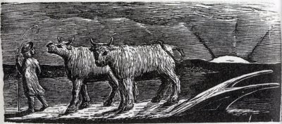 Niezaczepione jałówki wędrujące do domu, ilustracja z „The Pastorals of Virgil” dr Thorntona autorstwa William Blake
