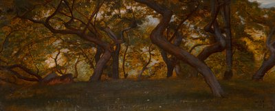 Las w pobliżu Volterry, Włochy (olej na panelu) autorstwa William Blake Richmond