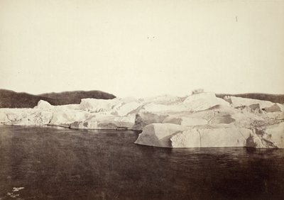  autorstwa William Bradford