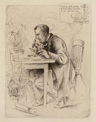 Alexander Dickson, profesor botaniki (rycina) autorstwa William Brassey (after) Hole