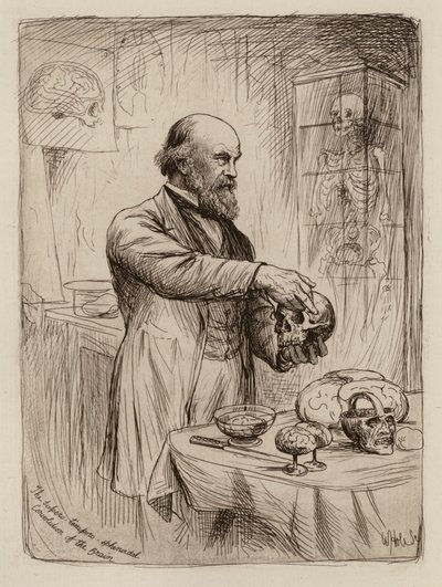 William Turner, profesor anatomii (rycina) autorstwa William Brassey (after) Hole