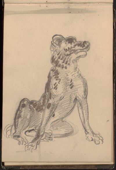 Portret psa autorstwa William Brockedon