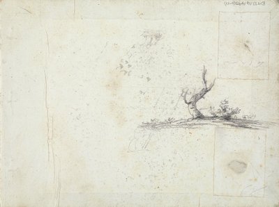 wewnętrzna strona okładki: Szkic drzewa (odwrócony) autorstwa William Brockedon