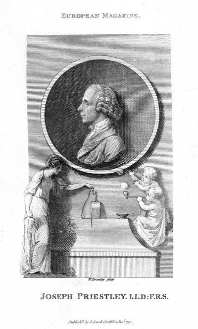 Joseph Priestley, angielski chemik i pastor prezbiteriański, 1791 autorstwa William Bromley