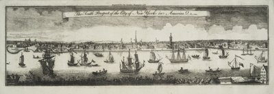 Perspektywa południowa miasta Nowy Jork w Ameryce Północnej, 1761 autorstwa William Burgis
