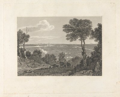 Odległy widok Chester autorstwa William Byrne