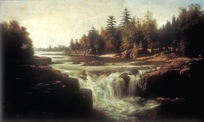 Małe wodospady rzeki Passaic (olej na płótnie na tekturowej podszewce) autorstwa William Charles Anthony Frerichs