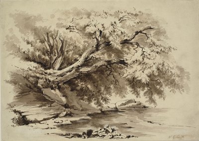 Krajobraz z drzewami zwisającymi nad jeziorem autorstwa William Collingwood Smith
