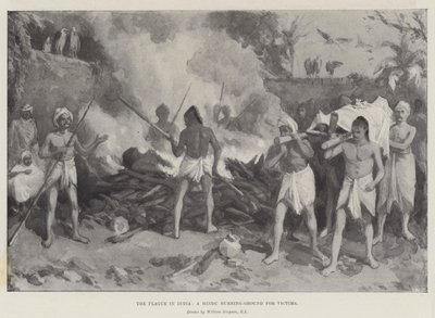 Plaga w Indiach, hinduska ziemia dla ofiar autorstwa William Crimea Simpson