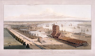 Brunswick Dock i East India Dock, Topola, Londyn, 1803 autorstwa William Daniell