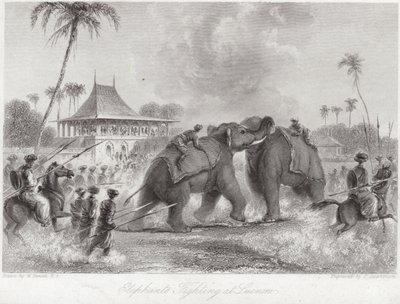 Słonie walczące w Lucknow autorstwa William Daniell