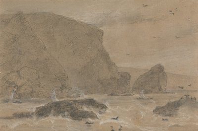 Skała z koprem morskim, St. Agnes, Kornwalia autorstwa William Daniell