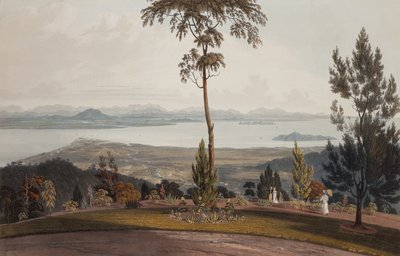 Widok z Strawberry Hill, Wyspa Księcia Walii autorstwa William Daniell