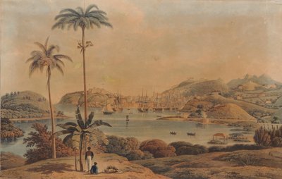 Widok miasta St. George i Richmond Heights na wyspie Grenada, zaczerpnięty z zatoki przez podpułkownika Wilsona, 1819 autorstwa William Daniell