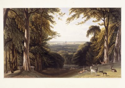 Zamek Windsor z Parku Jeleni, ok. 1827-1829 autorstwa William Daniell