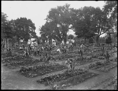Dzieci pracujące w szkolnym ogrodzie w Isham Park, Nowy Jork, 5 sierpnia 1914 r. autorstwa William Davis Hassler