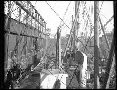 R.M.S. Załadunek Carpathia na molo 54 N.R., 1912 r. autorstwa William Davis Hassler