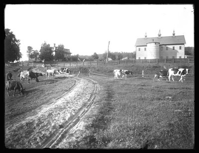 Stodoła na farmie McCready i rezydencja Thomasów, Pensylwania, ok. 1913 r. autorstwa William Davis Hassler