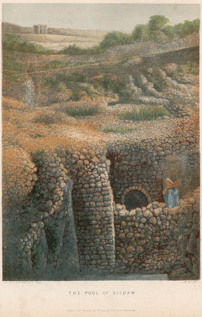 Sadzawka Siloam autorstwa William Dickes