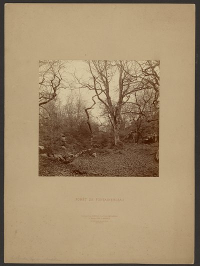 Las Fontainebleau autorstwa William Drooke Harrison