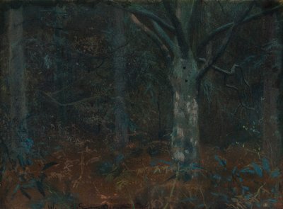 Stary Jawor autorstwa William Edward Stott