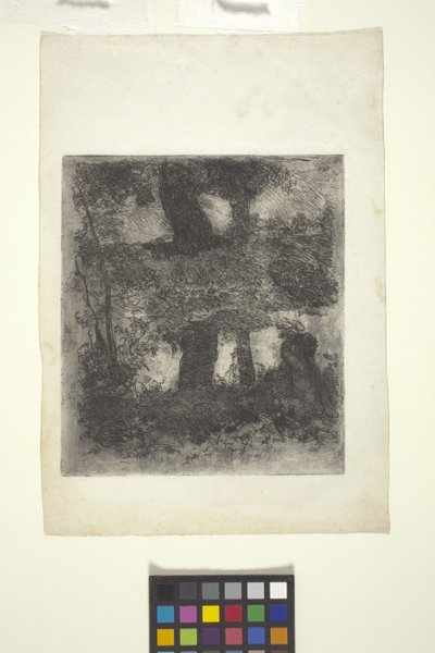 Krajobraz z fauna i basenem (odbity krajobraz) (akwaforta) autorstwa William Forsyth