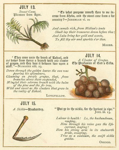 Strona z Księgi Jubileuszowej Godła Biblijnego (kolorowa litografia) autorstwa William Foster