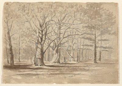 Kolegium Woods autorstwa William Fowler Hopson