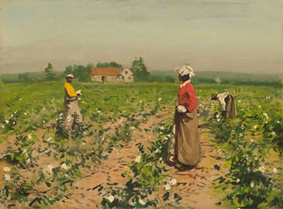 Zbieranie Bawełny, ok. 1890. autorstwa William Gilbert Gaul