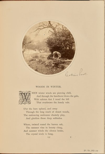 [Mężczyzna zbierający drewno na opał, Anglia]. autorstwa William Grundy