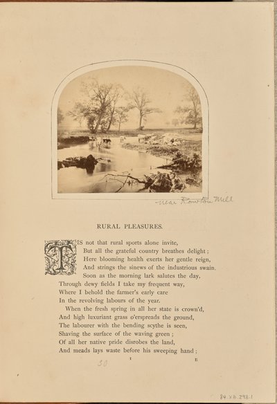 [Scena pasterska z bydłem na zalanym polu, Anglia]. autorstwa William Grundy