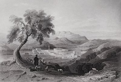 Nazaret, patrząc w kierunku Równiny Ezdrelon (rycina) autorstwa William H. Bartlett