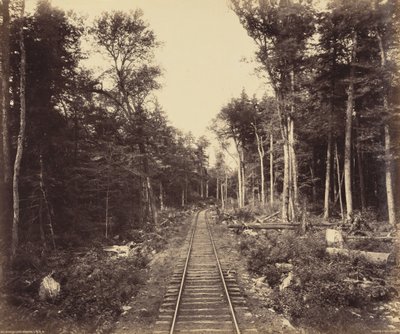 Oddział nad jeziorem Ganoga autorstwa William H. Rau