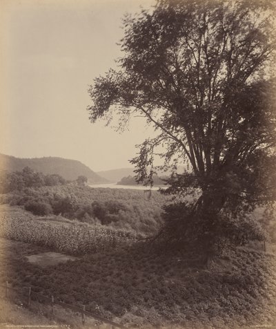 Malownicze Susquehanna, w pobliżu Laceyville autorstwa William H. Rau