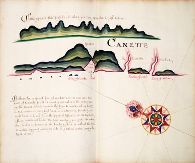 Canette autorstwa William Hack