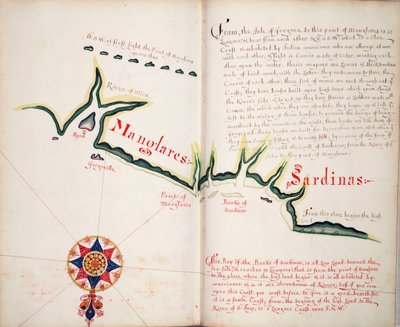 Manglares, zatoka Ancon de Sardinas autorstwa William Hack