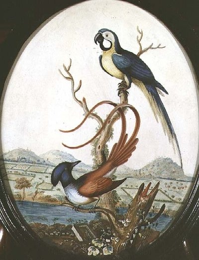 Lirogon i Jay autorstwa William Hayes